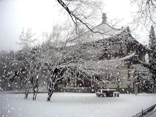 2020拉尼娜导致河南下起了第一场雪