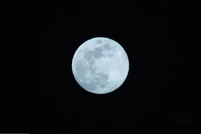 蓝月亮现身万圣节上空,为节日增添了不少神秘感