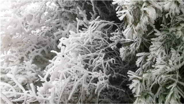 武当山下2020年的初雪了的雪后武当山的雾凇雪景3
