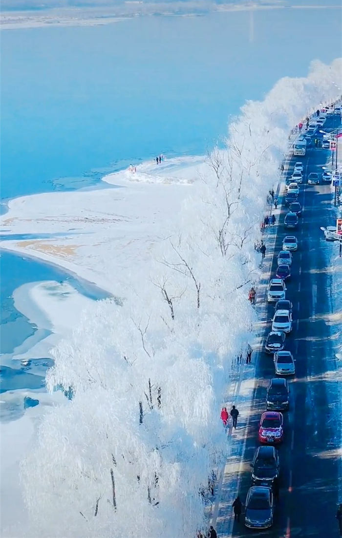 2020吉林松花江畔醉美雾凇雪景,真的是美呆了!