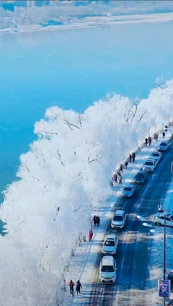 2020吉林松花江畔醉美雾凇雪景2,真的是美呆了!