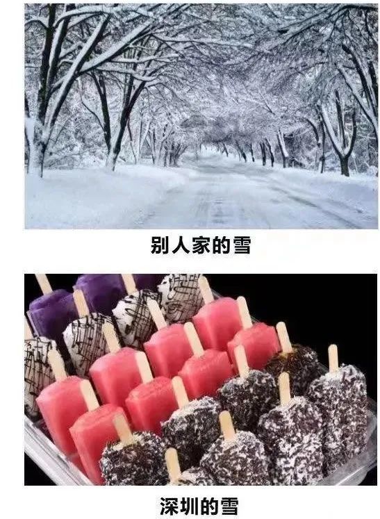 冬季的深圳终于在气候上入秋了