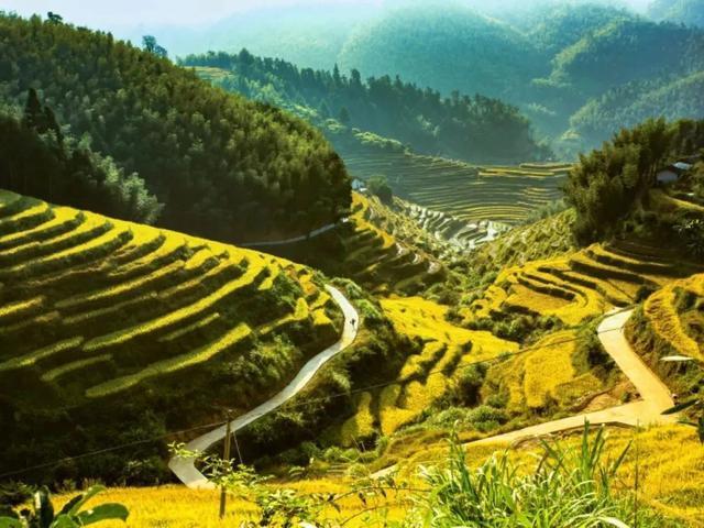 江西5条自驾游路线景点--上堡梯田
