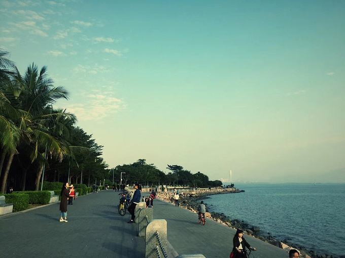 深圳十大热门旅游景点排行--深圳湾公园-白鹭坡
