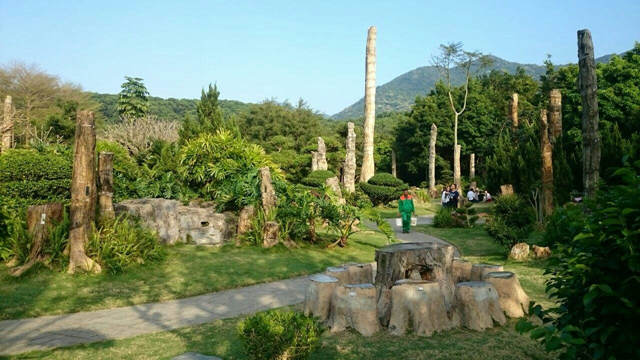深圳十大热门旅游景点排行--仙湖植物园