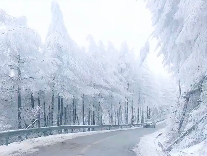 2020梭布垭石林景区公路两边的雾凇美景1
