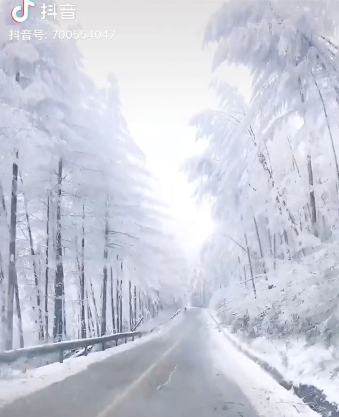 2020梭布垭石林景区公路两边的雾凇美景3