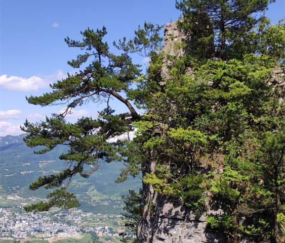 一炷香景点在哪里?迎客松景点