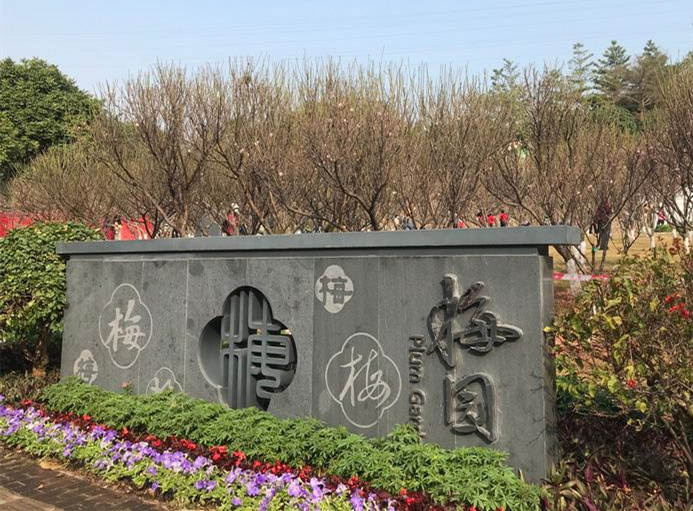 2021年深圳梅园最佳的赏梅期到了,你打算带着谁一起去呢?