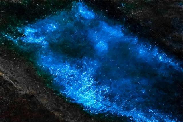 2021珠海现蓝色荧光海浪,宛若星辰大海!