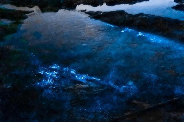 2021珠海现蓝色荧光海浪,宛若星辰大海!