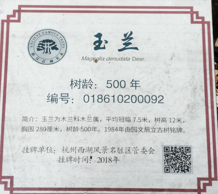 法喜寺玉兰花古树铭牌