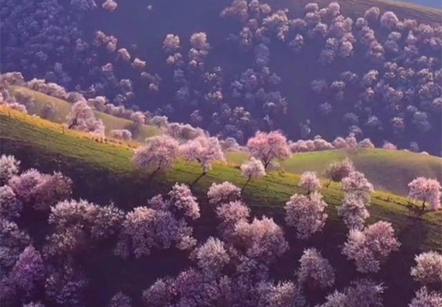 4月旅游攻略:4月旅行最值得去的8个地方推荐