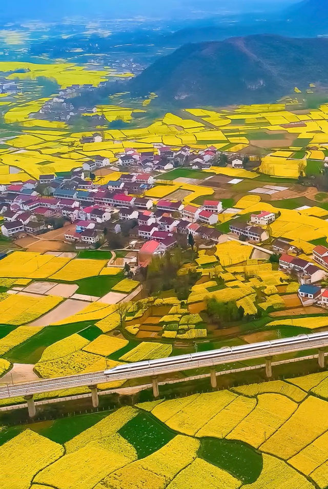 汉中南郑区赏花路线 欣赏油菜花花海的满地金黄