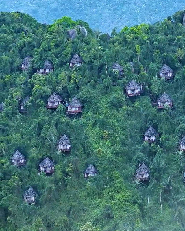 山中的楼阁,人间的天堂--三亚亚龙湾鸟巢度假村别墅群3