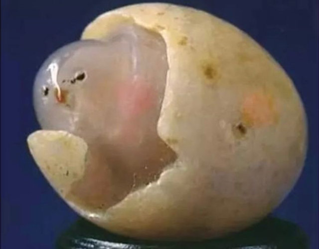 小鸡脱壳玛瑙