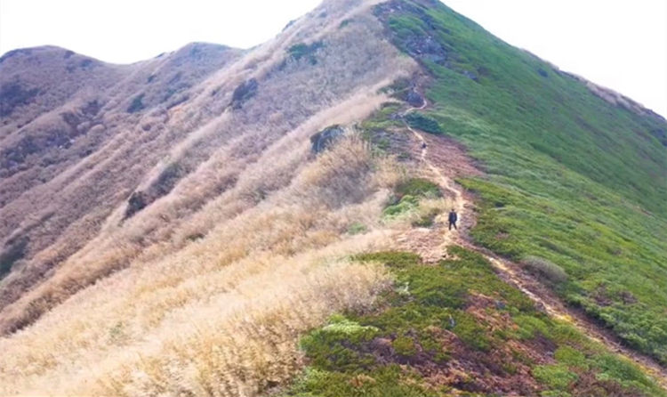 一起来欣赏云南高黎贡山阴阳分界的风景之美1