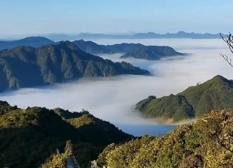莽山五指峰的云海奇观1
