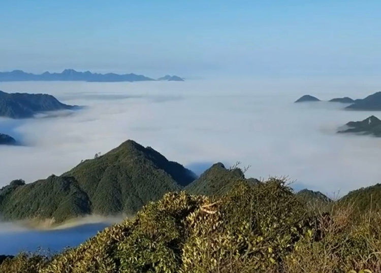莽山五指峰的云海奇观2