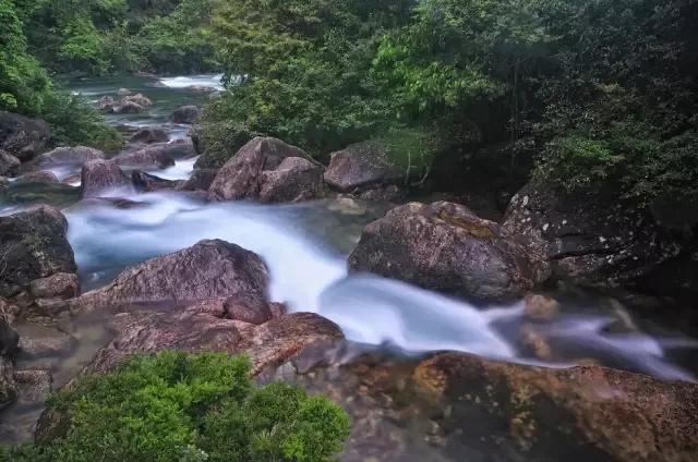 夏季一起体验五夷山的清凉