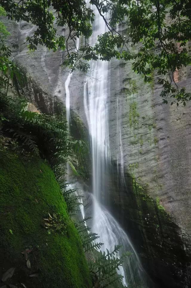 夏季一起体验五夷山的清凉4