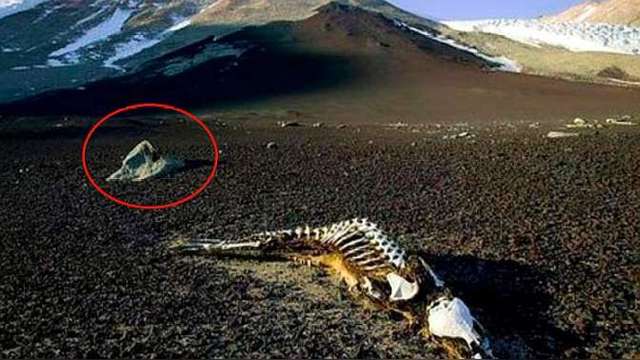 号称中国旅行的八大禁区8、昆仑山“地狱之门”